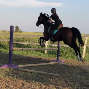 Fundraising Page: Andrea Boston